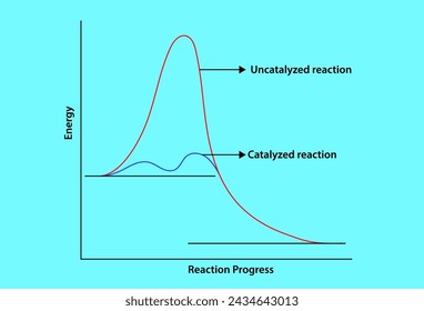 Energy of catalyzed and uncatalyzed reaction
