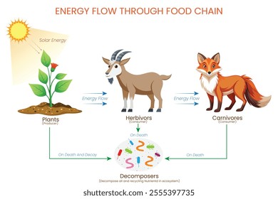 An energy flow illustration shows the sun providing energy to plants, which feed goats, then foxes, with decomposers recycling nutrients back to the soil.