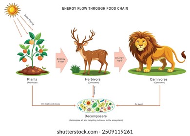 A energia flui do sol para as plantas através da fotossíntese, depois para os herbívoros e carnívoros e, finalmente, para os decompositores, reciclando nutrientes e sustentando a cadeia alimentar.