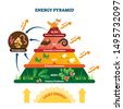 food chain pyramid