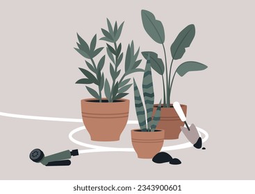 Engaging in a gardening endeavor, the task involves delicately repotting a plant with a variety of essential garden tools