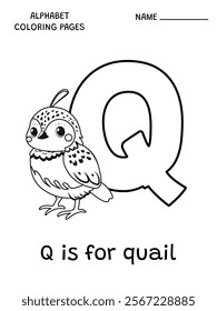 English alphabet coloring page Q is for quail