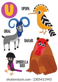 Alfabeto inglés con lindos animales ilustraciones vectoriales set. Animales divertidos de dibujos animados: upupa, urial, uakari, pájaro paraguas. El diseño de los alfabetos es colorido.