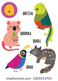 Englisches Alphabet mit süßen Tieren Vektorgrafiken Set. Funny Cartoon Tiere: Wachteln, Quoll, Quokka, Quetzal. Alphabet-Design in einem bunten Stil.