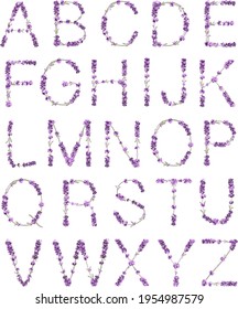 English alphabet in the form of lavender sprigs in bright purple flowers on a white background