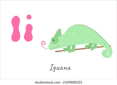 for the English alphabet, the letter I is an iguana