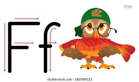 English alphabet letter for preschool. English language abc. Owl bird holds fish. Isolated on white vector cartoon illustration