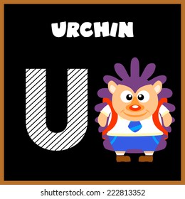 The English alphabet letter U, Urchin