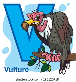 English alphabet, letter V. The vulture.