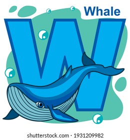 English alphabet, letter W. Whale.