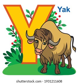 English alphabet, the letter Y. Yak.