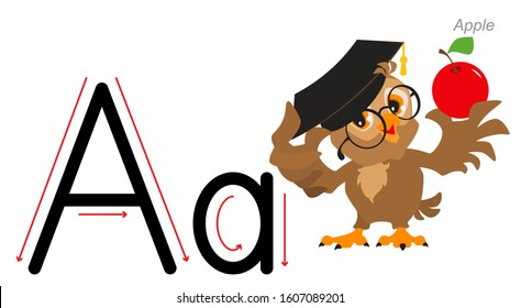 English alphabet picture letter for children. English language abc. Owl teacher holds an apple. Isolated on white vector cartoon illustration