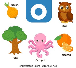 English alphabet in pictures — Children's colored letter O — vector illustration