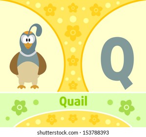 The English alphabet  with Quail