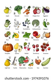 English Alphabet Vegetables Fruits Vector Food Stock Vector (royalty 