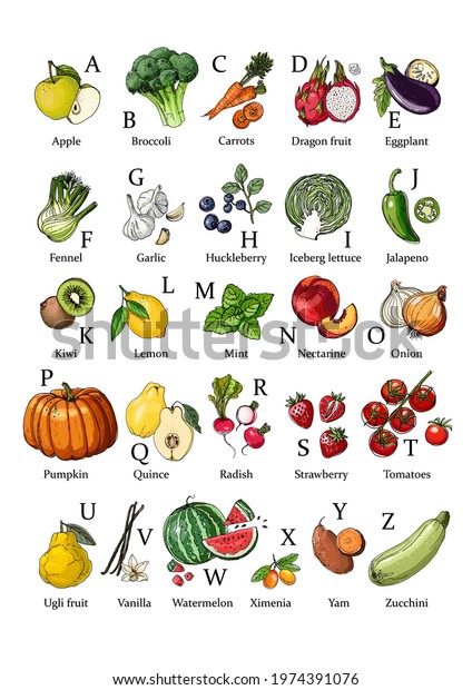 English Alphabet Vegetables Fruits Vector Food Stock Vector (Royalty ...