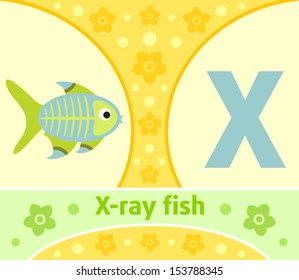 The English alphabet with X-ray fish