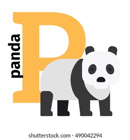 English animals zoo alphabet with letter P. Panda vector illustration