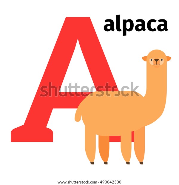 English Animals Zoo Alphabet Letter Alpaca 스톡 벡터(로열티 프리) 490042300 ...