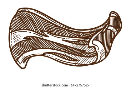 English breakfast ingredient bacon slice meat food isolated sketch vector butchery product pork piece drawing cooking. and culinary recipe cuisine snack or morning meal organic farm nutrition