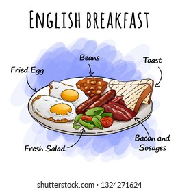 English breakfast vector illustration. Satisfying breakfast. Big breakfast with fried eggs, toasts, fresh salad, beans, bacon and sausages. Hand draw English breakfast.