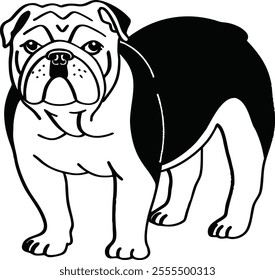 English bull dog icon design