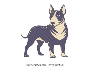 English Bull Terrier dog. Animal portrait