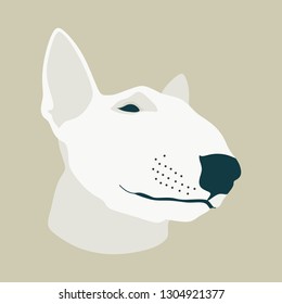 English Bull terrier dog head profile. Animal portrait