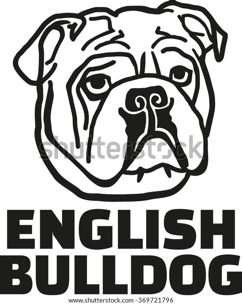 English Bulldog Breed Name Stock Vector (Royalty Free) 369721796 ...