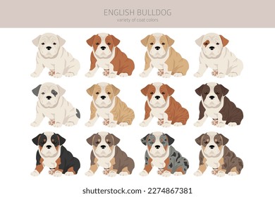 Clíparte de bulldog inglesa. Postas diferentes, colores de abrigo.  Ilustración del vector