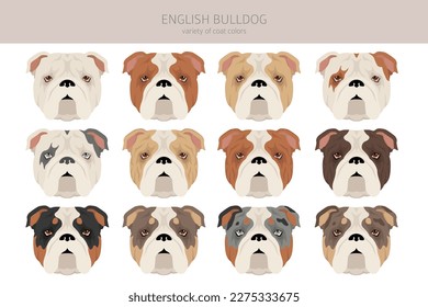 Bulldog Head Animal Coloring Book Adults Stock Vector (Royalty Free)  633984896