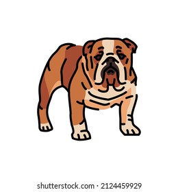 English bulldog color line icon. Dog breed. Pictogram for web page, mobile app, promo.