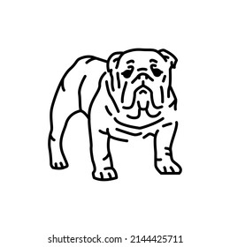 English bulldog color line icon. Dog breed. Pictogram for web page, mobile app, promo.