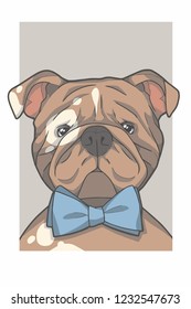 English Bulldog dog with bowtie portrait vector graphic illustration