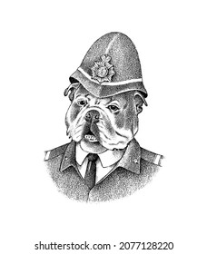  English Bulldog. Dog dressed up in police suit. Fashion Animal character in clothes. Hand drawn sketch. Vector engraved illustration for label, logo and T-shirts or tattoo. 