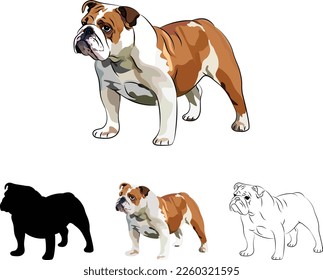 Vista lateral del perro Bulldog en inglés. Diseño de logotipo de perfil corto, color común, arte de postal de personaje de mascota de raza. Mascota de perro divertida. Ilustración de alba y blanco. Silueta de perro de toro, contornos, logotipo de perro de infarto.