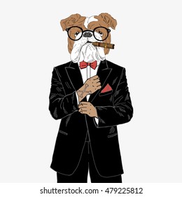 english bulldog dressed up in tuxedo, anthropomorphic illustration, fashion animals