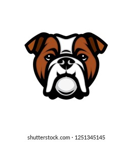 English bulldog face - isolated outlined vector illustration