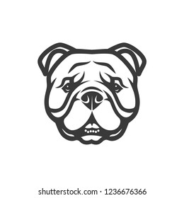 English bulldog face - isolated vector illustration