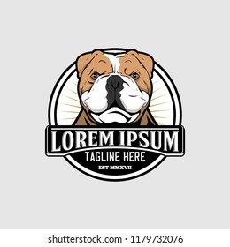 english bulldog head vector logo template
