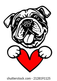 English bulldog with heart, dog portrait 