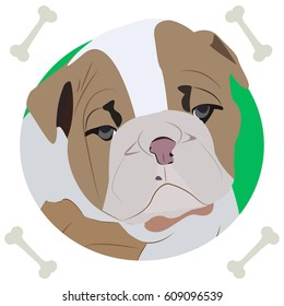 English bulldog, icon, logo, symbol, dog.