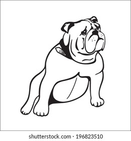 3,464 Old english bulldog Images, Stock Photos & Vectors | Shutterstock