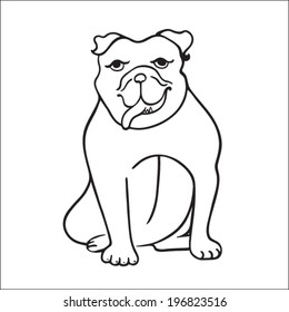 english bulldog isolated on white background. Hand drawn illustration. english bulldog