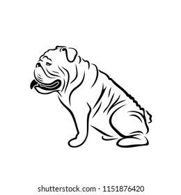 English bulldog - isolated outlined vector illustration