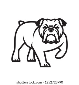 English bulldog - isolated outlined vector illustration