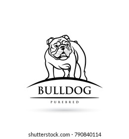 English bulldog - isolated outlined vector illustration