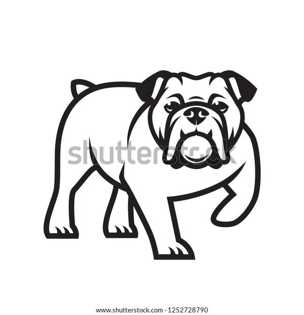 English Bulldog Illustration Download Illustration 2020