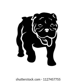 English bulldog - isolated vector illustration