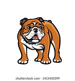 English bulldog - isolated vector illustration 